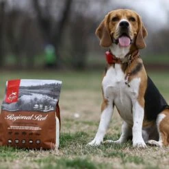 Orijen Regional Red 25lbs. | 064992105259