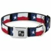 Texas Flag Painting - Small 9.5-13 | 700146749282 -Pollyspets Store 1450 default s