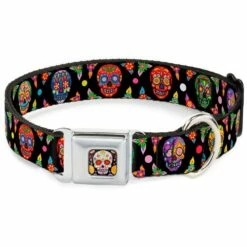 Sugar Skull Starburst Full Color Small 9.5 Inch-13 Inch | 700146995412