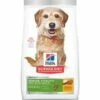 Hills Science Diet Adult 7 Senior Vitality Small Mini Dry Dog Food, 3.5 Lb Bag | 052742012032 -Pollyspets Store 1563 default s