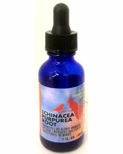 ECHINACEA PURPUREA ROOT 1oz. | 183719001046