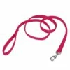 Double-Ply Dog Leash, 1 Inch, 4ft, Pink Flamingo | 076484780424