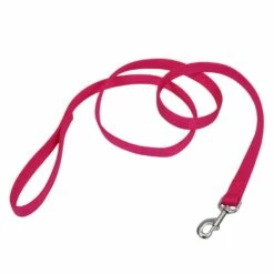 Double-Ply Dog Leash, 1 Inch, 4ft, Pink Flamingo | 076484780424