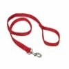 Double-Ply Dog Leash, 1 Inch, 4ft, Red | 076484067310
