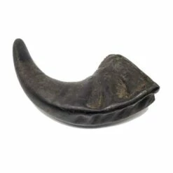 Home Range Water Buffalo Horn Large | 626245030123