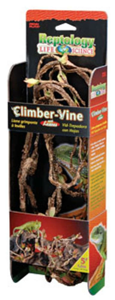 Penn-Plax 5 CLIMBER VINE 3/8 Inch DIAMETER | 030172060274 2 Penn-Plax 5 CLIMBER VINE 3/8 Inch DIAMETER | 030172060274