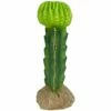 Komodo Cactus Plant Moon 1ea/7.5 In | 784369933253 1 Komodo Cactus Plant Moon 1ea/7.5 In | 784369933253 -Pollyspets Store 6906 default s