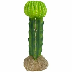 Komodo Cactus Plant Moon 1ea/7.5 In | 784369933253