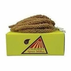 Golden Farm Products Premium California Spray Millet 5 Lbs | 696263013019