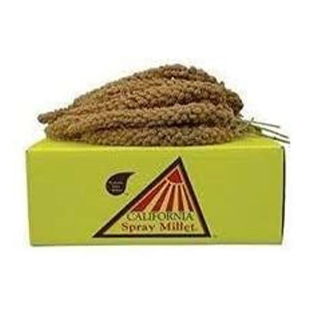 Golden Farm Products Premium California Spray Millet 5 Lbs | 696263013019 3 Golden Farm Products Premium California Spray Millet 5 Lbs | 696263013019