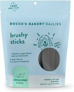 BOCCES DAILIES BRUSHY STICKS MEDIUM 13OZ | 850012629627