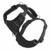 CHESAPEAKE HARNESS BLACK SMALL | 855521006273 2 CHESAPEAKE HARNESS BLACK SMALL | 855521006273 -Pollyspets Store 7354 default s
