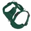 CHESAPEAKE HARNESS GREEN SMALL | 855521006297 -Pollyspets Store 7357 default s