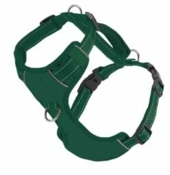 CHESAPEAKE HARNESS GREEN SMALL | 855521006297