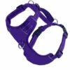 CHESAPEAKE HARNESS PURPLE SMALL | 855521006303 -Pollyspets Store 7358 default s