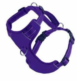 CHESAPEAKE HARNESS PURPLE SMALL | 855521006303