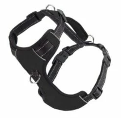 CHESAPEAKE HARNESS BLACK LRG | 855521006419