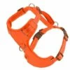 CHESAPEAKE HARNESS ORANGE XLRG | 853911008883 -Pollyspets Store 7392 default s
