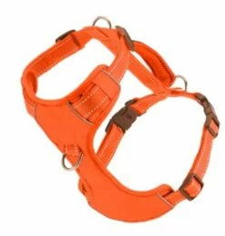 CHESAPEAKE HARNESS ORANGE XLRG | 853911008883