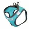 LIBERTY HARNESS TEAL XLRG | 850028014370 -Pollyspets Store 7449 default s