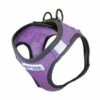 LIBERTY HARNESS VOILET XLRG | 850028014387 1 LIBERTY HARNESS VOILET XLRG | 850028014387 -Pollyspets Store 7451 default s