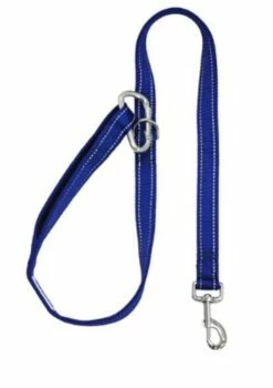 HUDSON LEASH 4BLUE | 855521006112