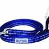PENSACOLA BAY LEASH 6BLUE | 855521006082 -Pollyspets Store 7490 default s