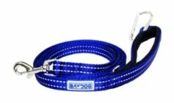 PENSACOLA BAY LEASH 6BLUE | 855521006082