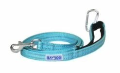 PENSACOLA BAY LEASH 6TEAL | 855521006099