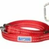PENSACOLA BAY LEASH 6RED | 855521006563 1 PENSACOLA BAY LEASH 6RED | 855521006563 -Pollyspets Store 7495 default s