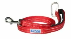PENSACOLA BAY LEASH 6RED | 855521006563